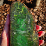 1025g Raw Nephrite Jade Carving Slice (R14B722)