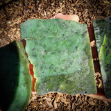 985g Raw Nephrite Jade Carving Slices (R14B759)