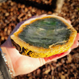 564g Raw Nephrite Jade Carving Slice (R14B724)
