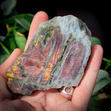 305g FLASH Raw Labradorite Carving Slices (S14B3)