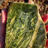 751g Raw Nephrite Jade Carving Slice (R14B725)