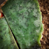 853g Raw Nephrite Jade Carving Slice (R14B746)