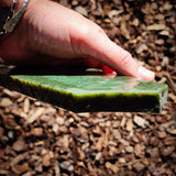 537g Raw Nephrite Jade Carving Slice (R14B781)