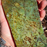 819g Raw Nephrite Jade Carving Slice (R14B709)