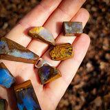 10pcs Raw Australian Boulder Opal Rub Parcel (S14B43)