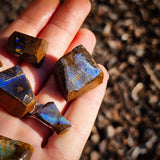 10pcs Raw Australian Boulder Opal (N827)
