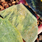 1kg Raw NZ Greenstone Pounamu Carving Slices (R14B641)