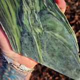 776g Raw Nephrite Jade Carving Slice (R14B705)