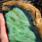 757g Raw Nephrite Jade Carving Slice (R14B704)