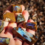 10pcs Raw Australian Boulder Opal Rub Parcel (S14B26)