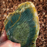 845g Raw Nephrite Jade Carving Slice (R14B670)