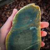 900g Raw Nephrite Jade Carving Slice (R14B667)