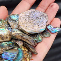 100g Tumbled New Zealand Paua / Abalone Shell Pieces B Grade