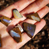 10pcs Raw Australian Boulder Opal Rub Parcel (S14B42)
