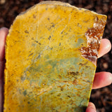 629g Raw Nephrite Jade Carving Slice (R14B665)