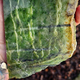 860g Raw Nephrite Jade Carving Slice (R14B660)