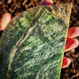 893g Raw Nephrite Jade Carving Slice (R14B720)