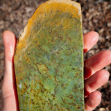 819g Raw Nephrite Jade Carving Slice (R14B709)