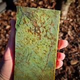 775g Raw Nephrite Jade Carving Slice (R14B726)