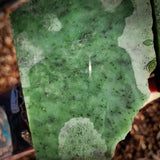 936g Raw Nephrite Jade Carving Slice (R14B750)