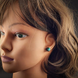 Round Black Bone Carving & Paua Stud Earrings