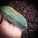 560g Raw Nephrite Jade Carving Slice (R14B652)