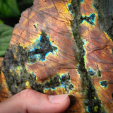 416g FLASH Raw Labradorite Carving Slice (S14B1)