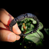 Natural Raw Black Tourmaline Cylinder Macramé Bracelet (10X9)