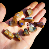 10pcs Raw Australian Boulder Opal Rub Parcel (S14B22)