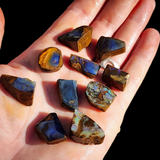 10pcs Raw Australian Boulder Opal Rub Parcel (S14B28)