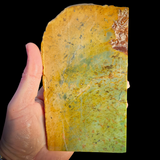 629g Raw Nephrite Jade Carving Slice (R14B665)