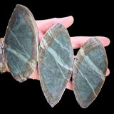 1kg Raw Nephrite Jade Carving Slices (R14B653)