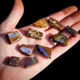 10pcs Raw Australian Boulder Opal Rub Parcel (S14B40)