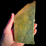514g Raw Nephrite Jade Carving Slice (R14B716)