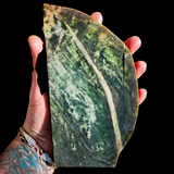 746g Raw Nephrite Jade Carving Slice (R14B712)