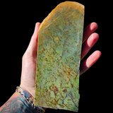 819g Raw Nephrite Jade Carving Slice (R14B709)
