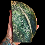 617g Raw Nephrite Jade Carving Slice (R14B710)