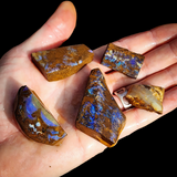 660 carat 5pcs Large Raw Australian Boulder Opal Rub Parcel (S14B44)
