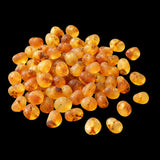 50x Natural Genuine Baltic Amber Beads - Raw Honey N
