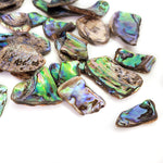 10X Polished New Zealand Paua / Abalone Shell Pieces