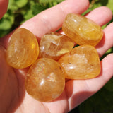 20-30mm Polished Yellow Fluorite Tumbled Stones (25R)